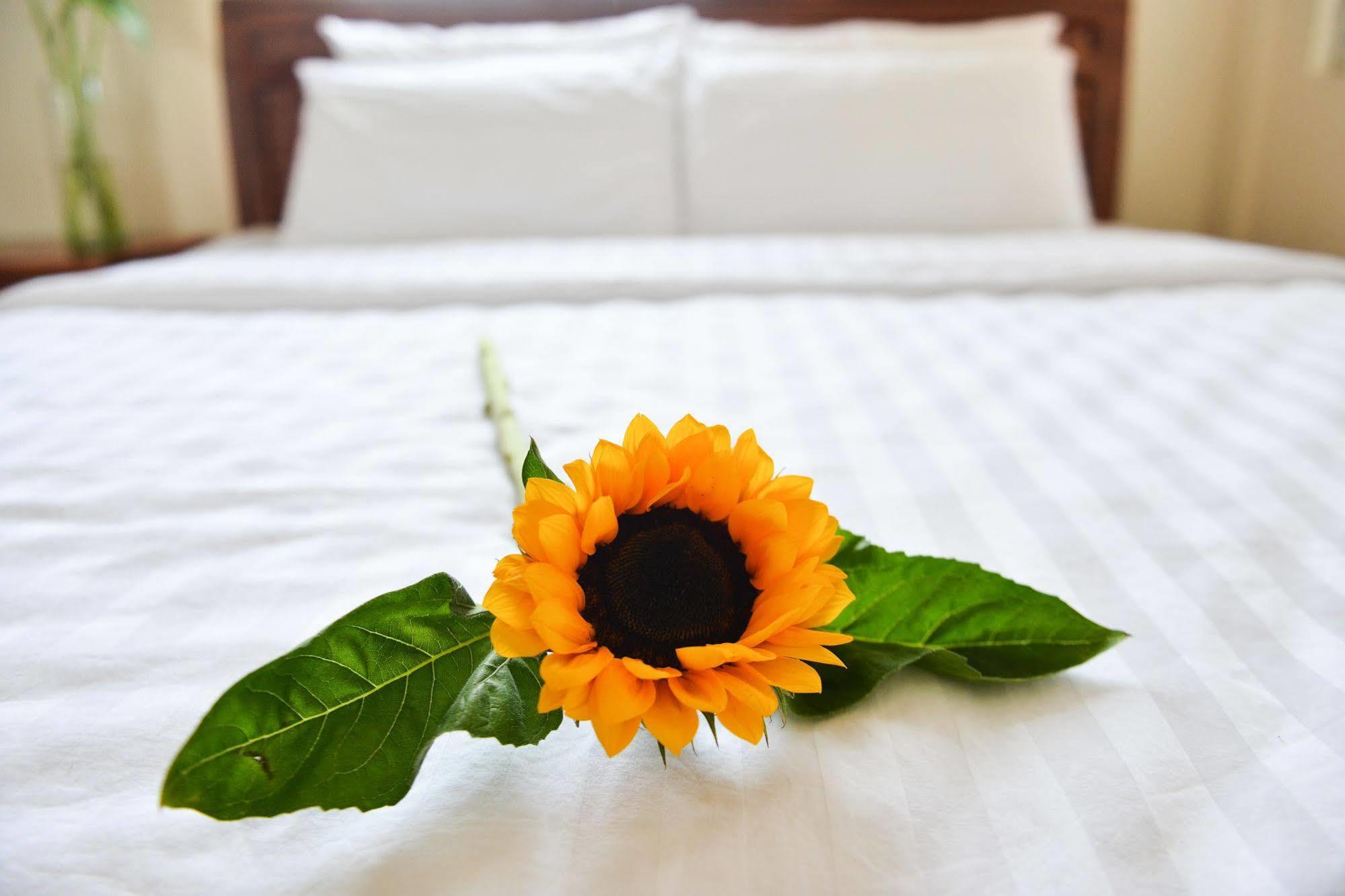 Oc Tien Sa Hotel Da Nang Exterior photo